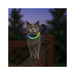 NiteMeow Rechargeable LED Safety Necklace - Disc-O Select
