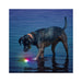 GlowStreak LED Ball - Disc-O