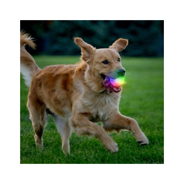 GlowStreak Wild LED Ball - Disc-O