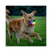 GlowStreak Wild LED Ball - Disc-O