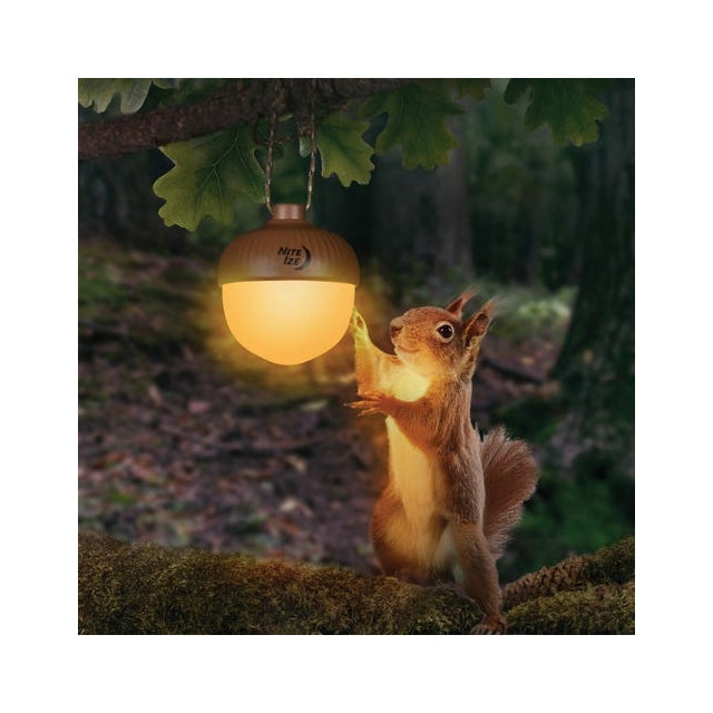 Radiant NutLit Rechargeable Lantern