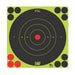 Pro-Shot 12In Green Bullseye Target 12Pk Bag