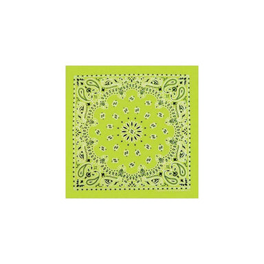Neon Paisley Bandana