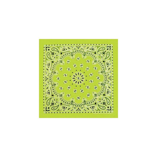 Neon Paisley Bandana