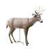 Scar Deer Decoy