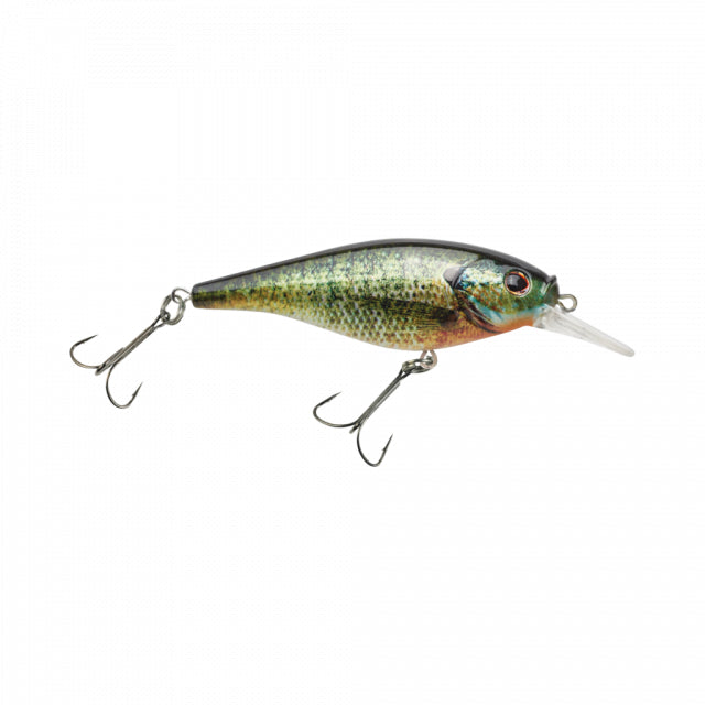 Flicker Shad Shallow | 2/7 oz | 2 3/4in | 7cm | 6 | 3'-6' | 1m-2m | Model #FFSH7S-HDBLG