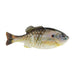 PowerBait Gilly | 90mm | Model #PBGL90-HDSUN