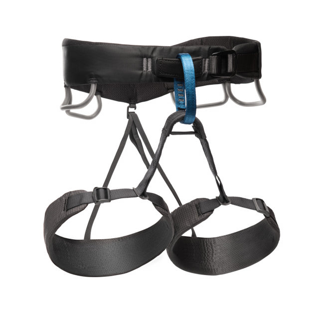 Momentum Harness