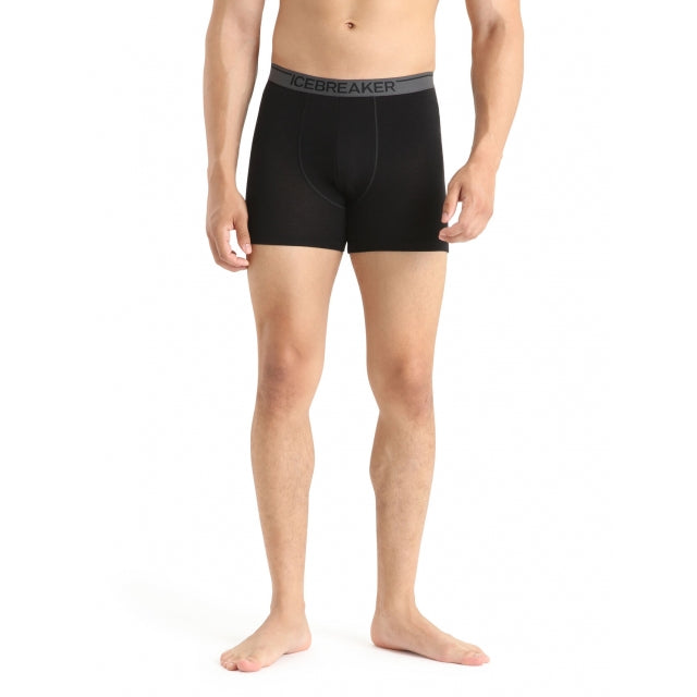 Men Merino 150 Anatomica Boxers