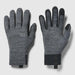 Alpine  Merino 200 Grid Glove