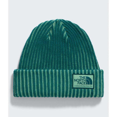 Salty Lined SE Beanie
