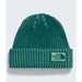 Salty Lined SE Beanie