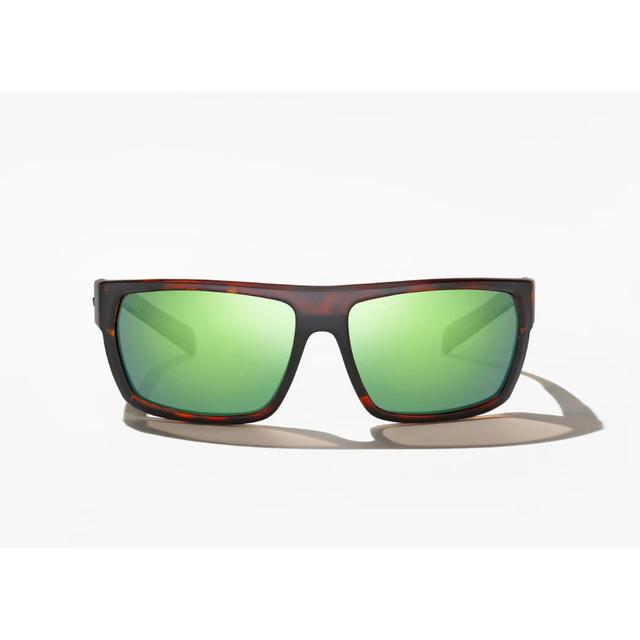 Palometa - BrownTortMatte