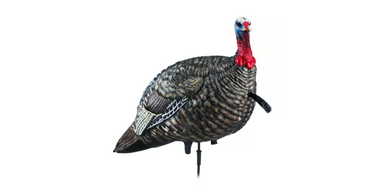 Avian X LCD Jake Quarter Strut Decoy